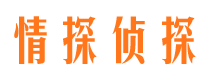 龙井商务调查